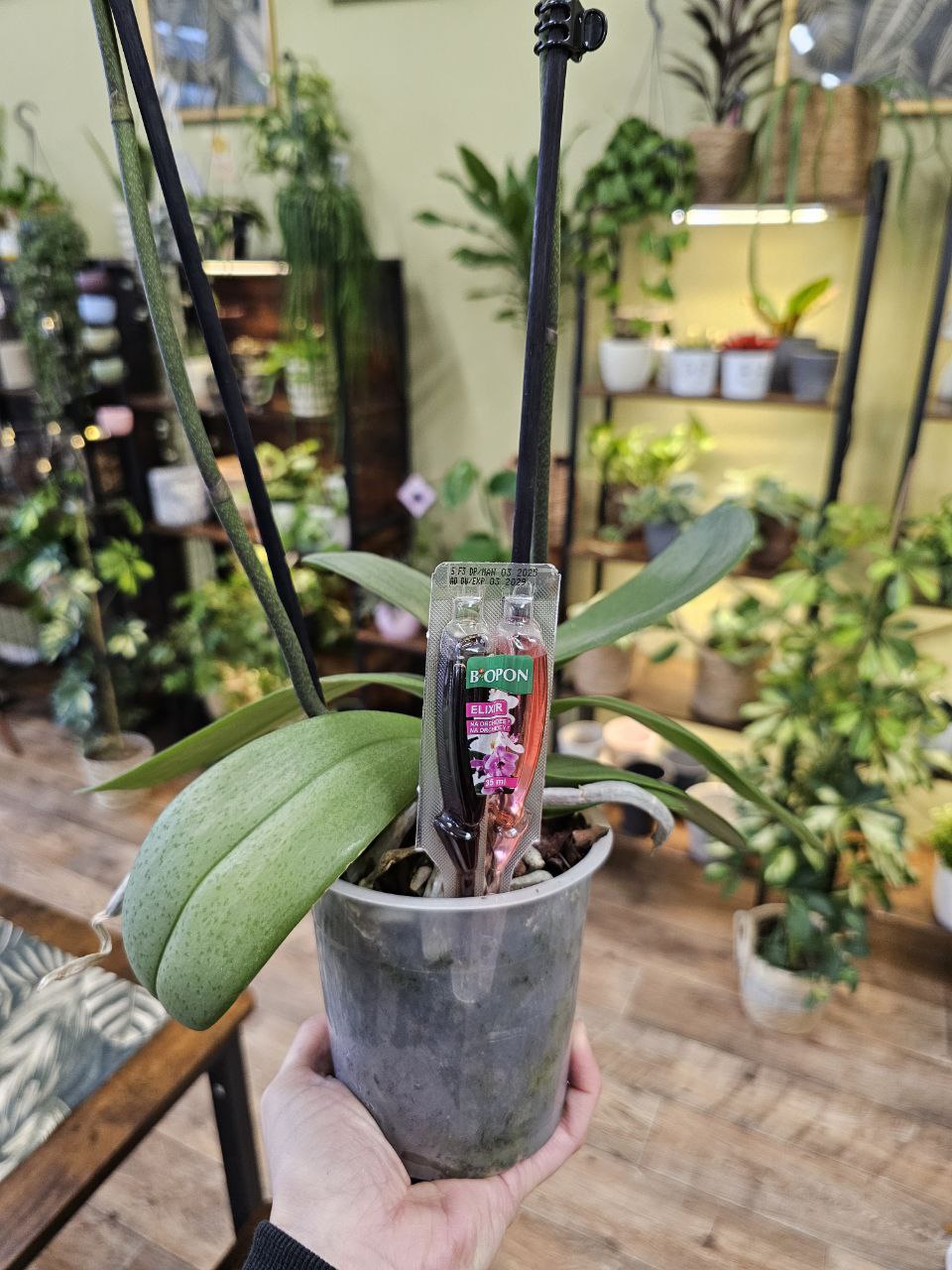 BOPON Elixir na orchideje DUO – aplikátor 40 ml