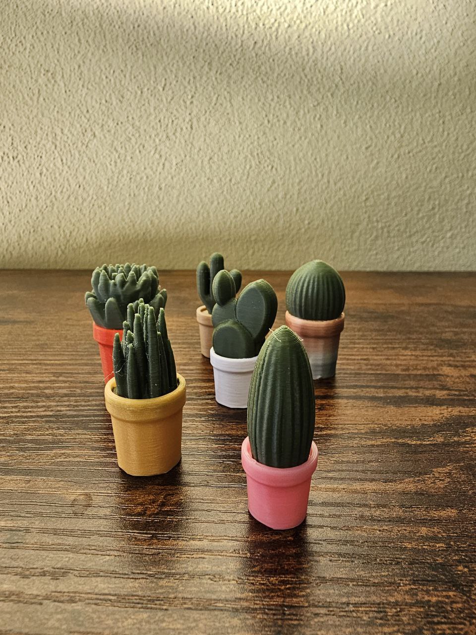 Magnetické mini rostlinky z naší 3D dílny 6 ks v balení