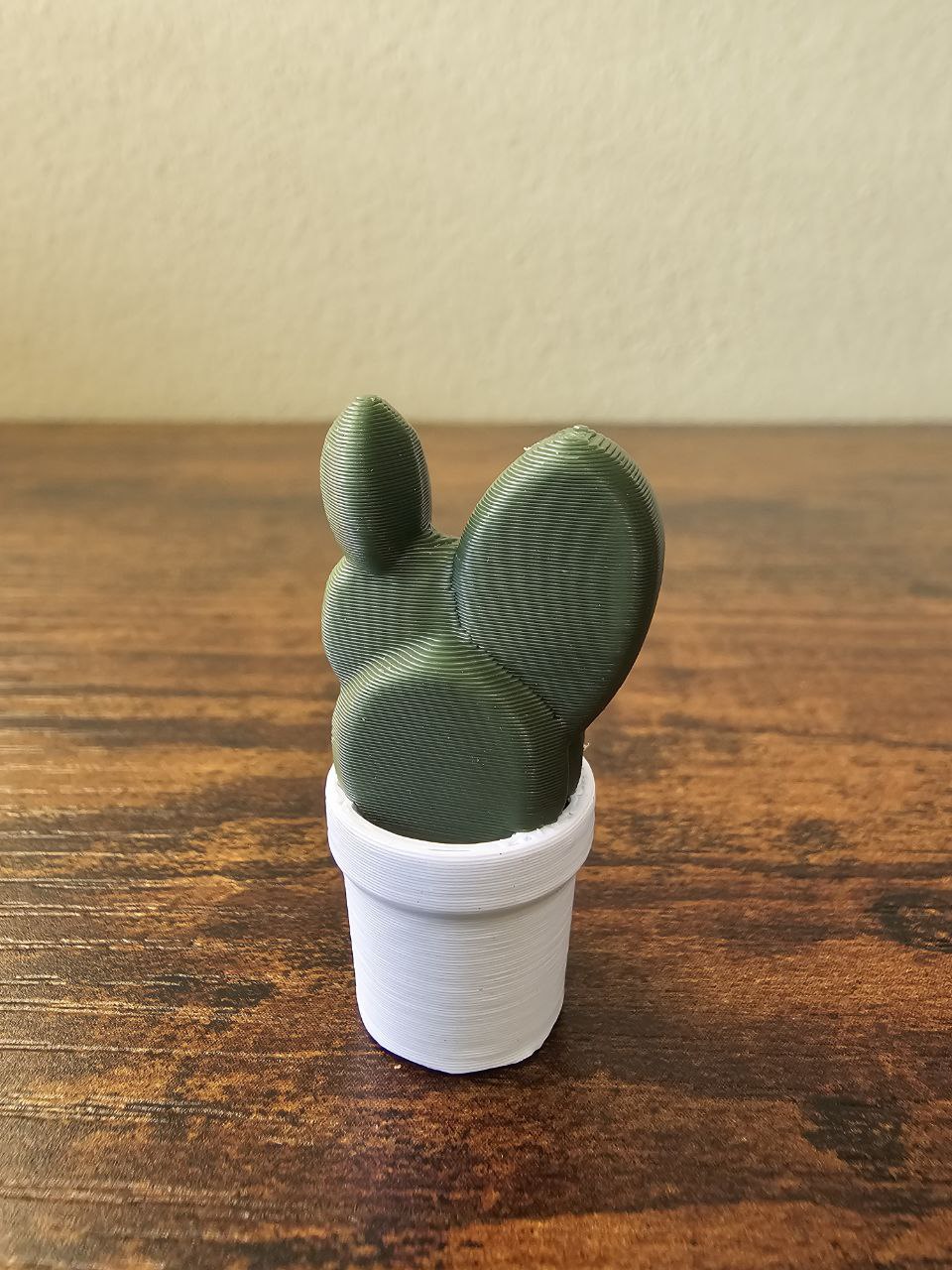 Magnetické mini rostlinky z naší 3D dílny 6 ks v balení