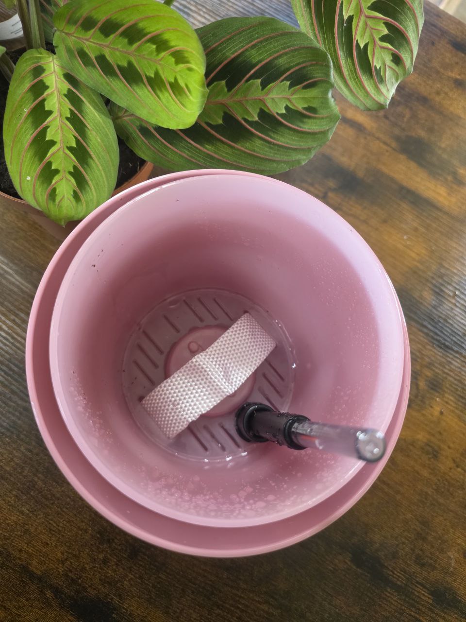 Samozavlažovací okrasný květináč s vložkou pr. 15 cm