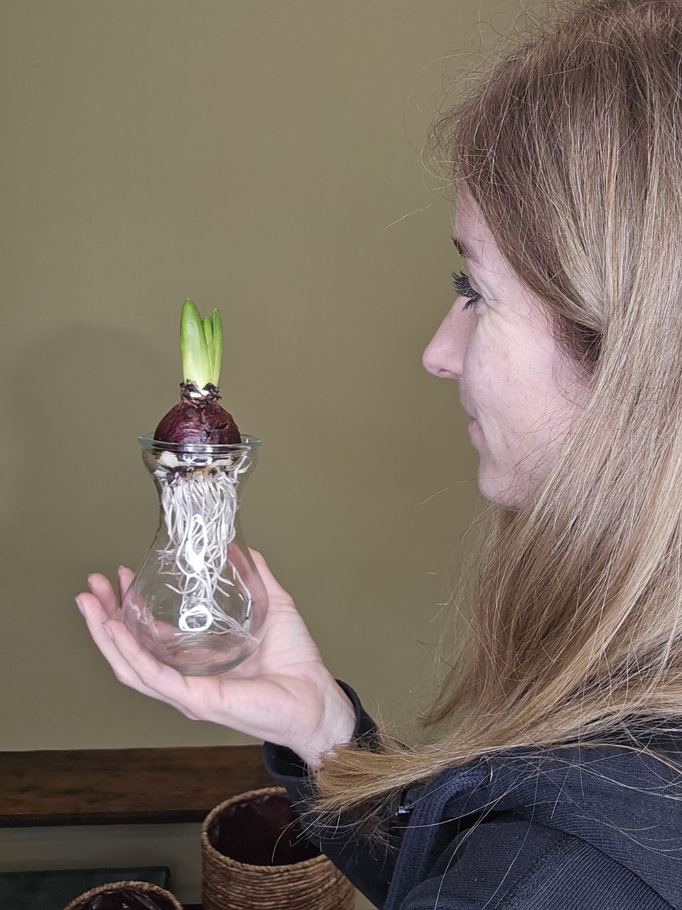 Skleněná nádoba na hyacinty