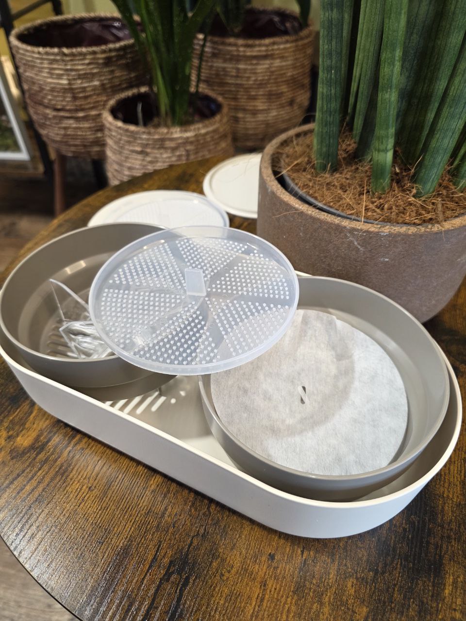 Klíčící miska MICROGREENS + Regrow, slonová kost