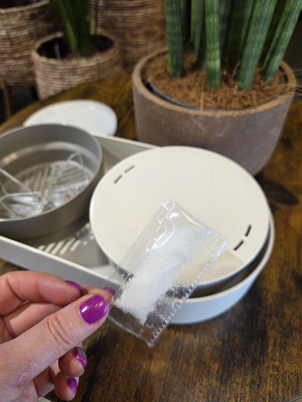 Klíčící miska MICROGREENS + Regrow, slonová kost