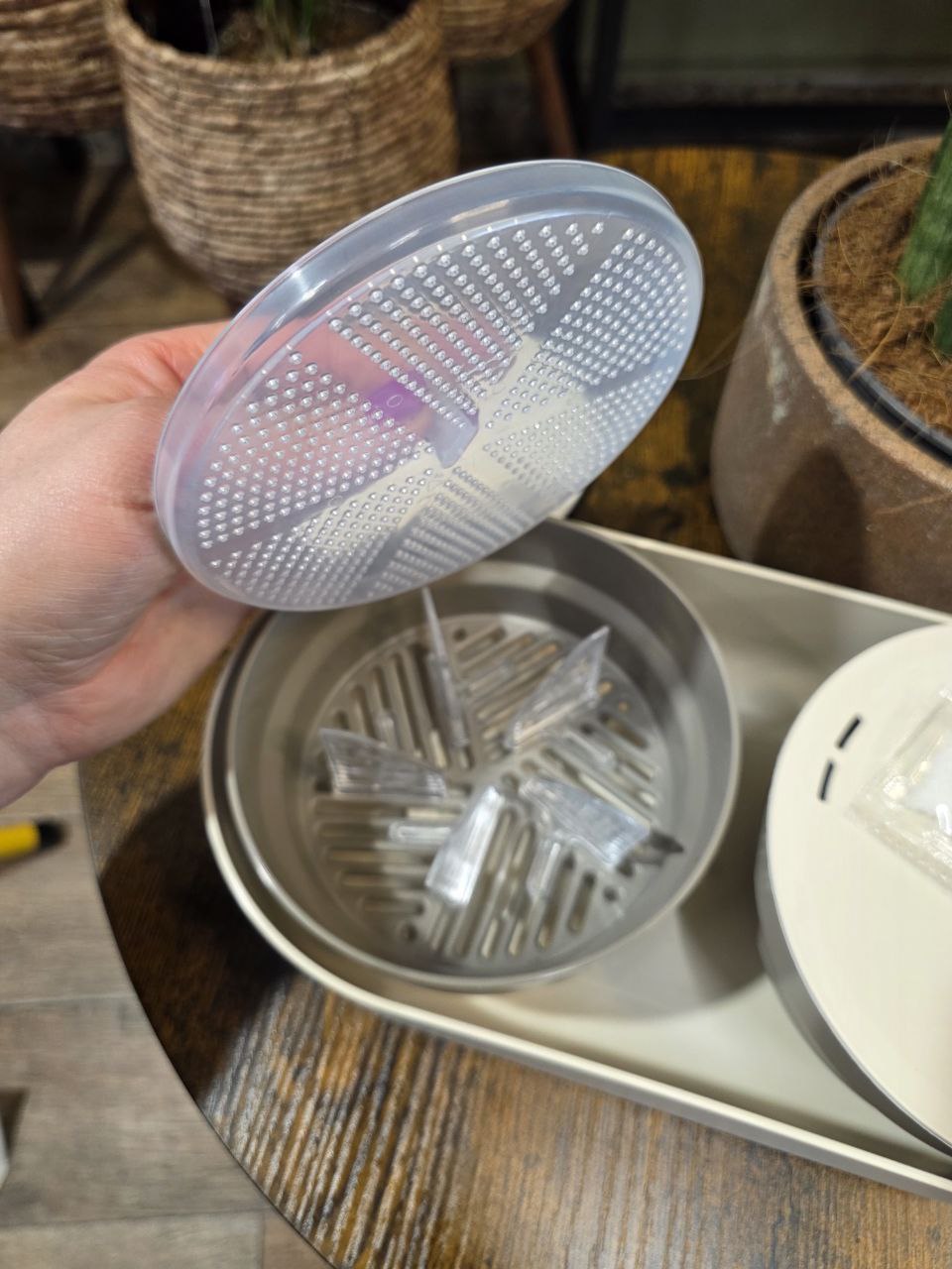 Klíčící miska MICROGREENS + Regrow, slonová kost