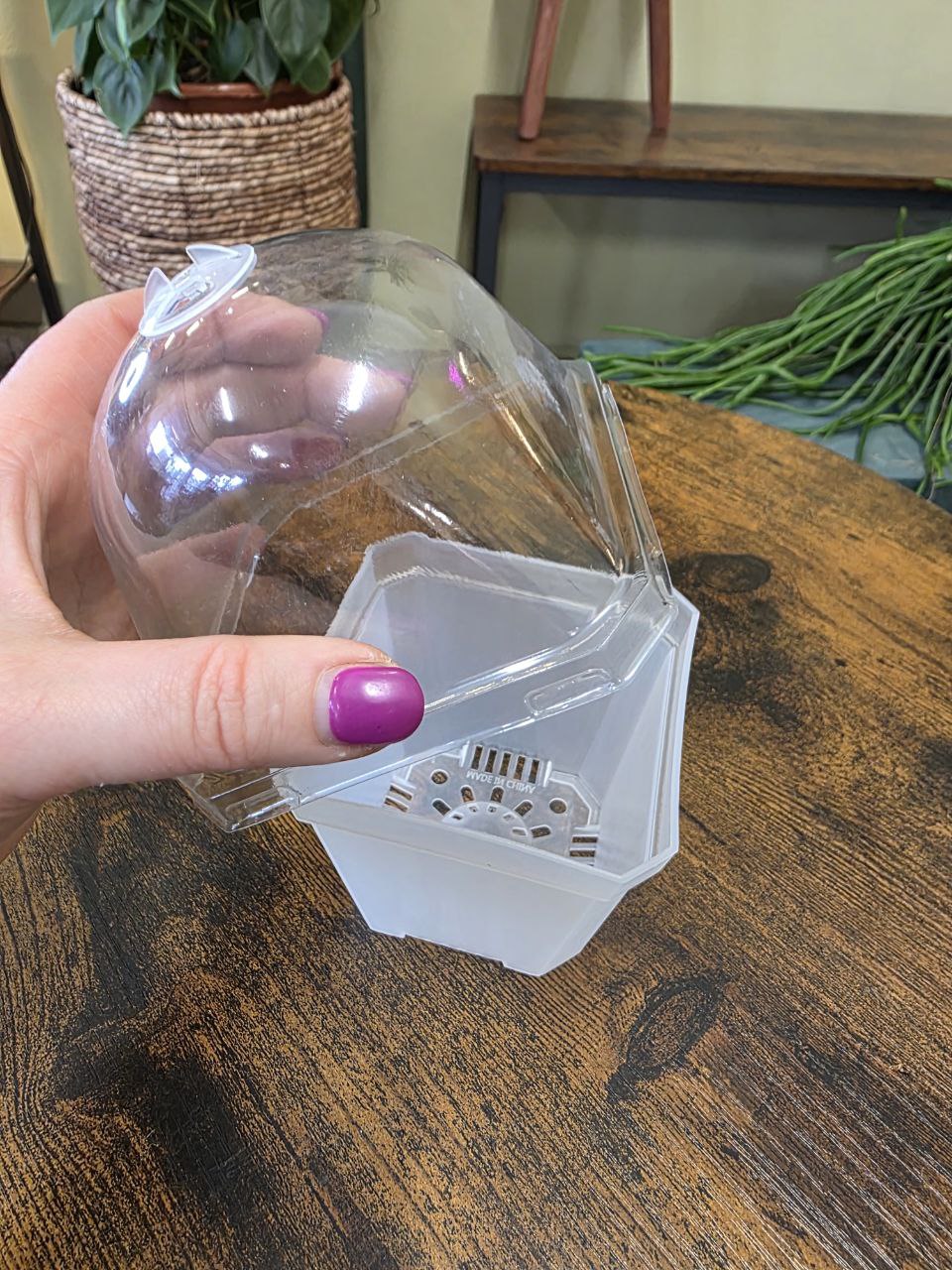 Průhledný čtveratý květináč s poklopem a regulací vlhkosti větší
