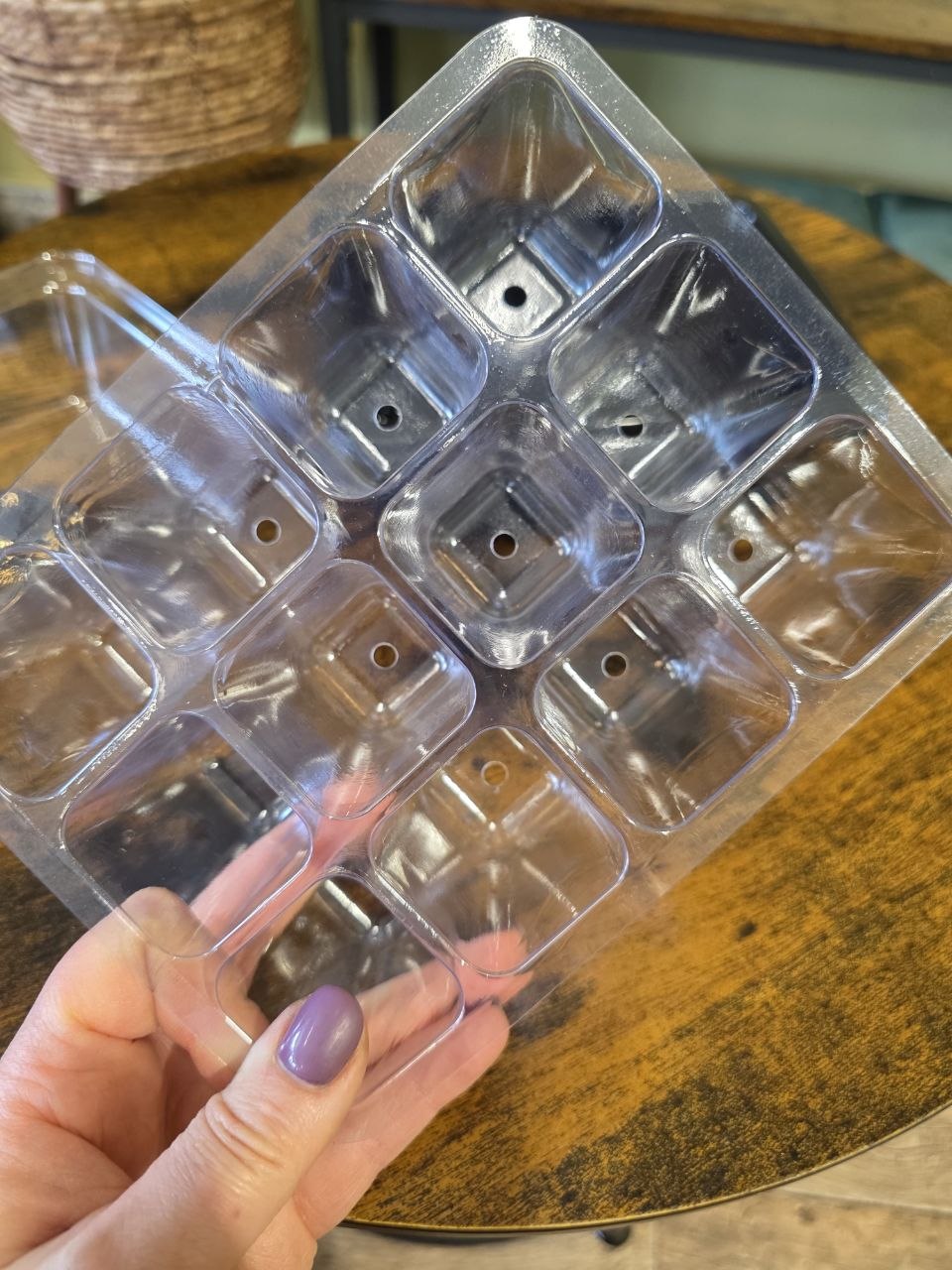 Box na množení XXL 40 sazenic
