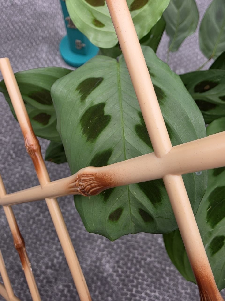 Žebřík plastový imitace bambus více velikostí