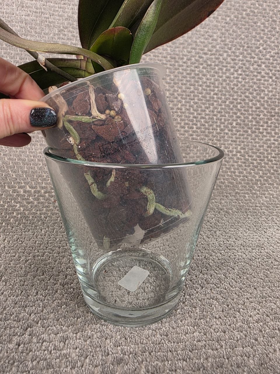 Skleněný obal na pr. 12 cm (Sandra Rich)