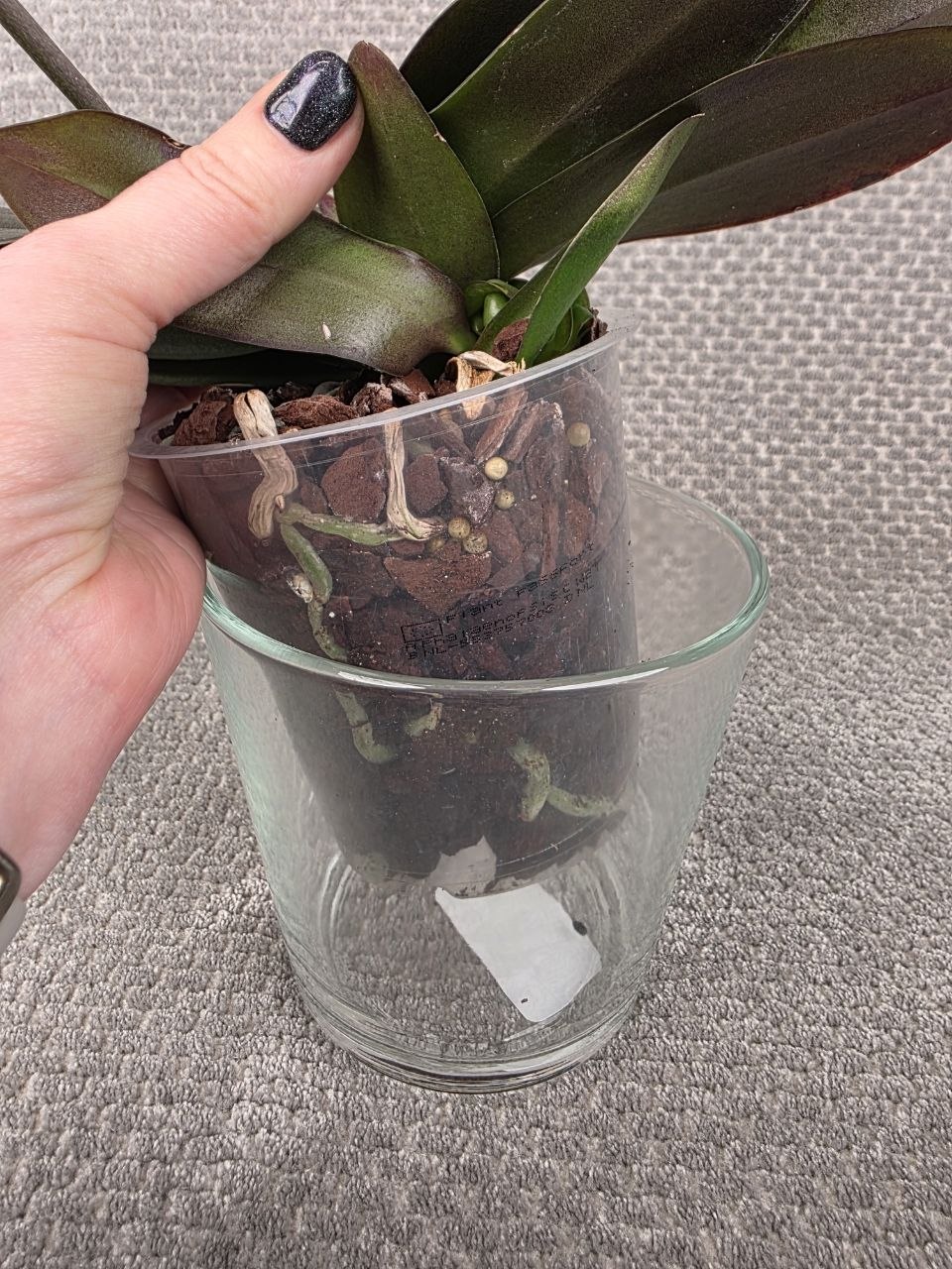 Skleněný obal na pr. 12 cm 