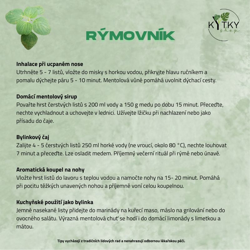 Rýmovník mexický