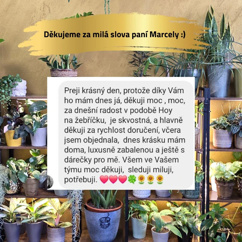 Zavlažovač mechové tyče bílý