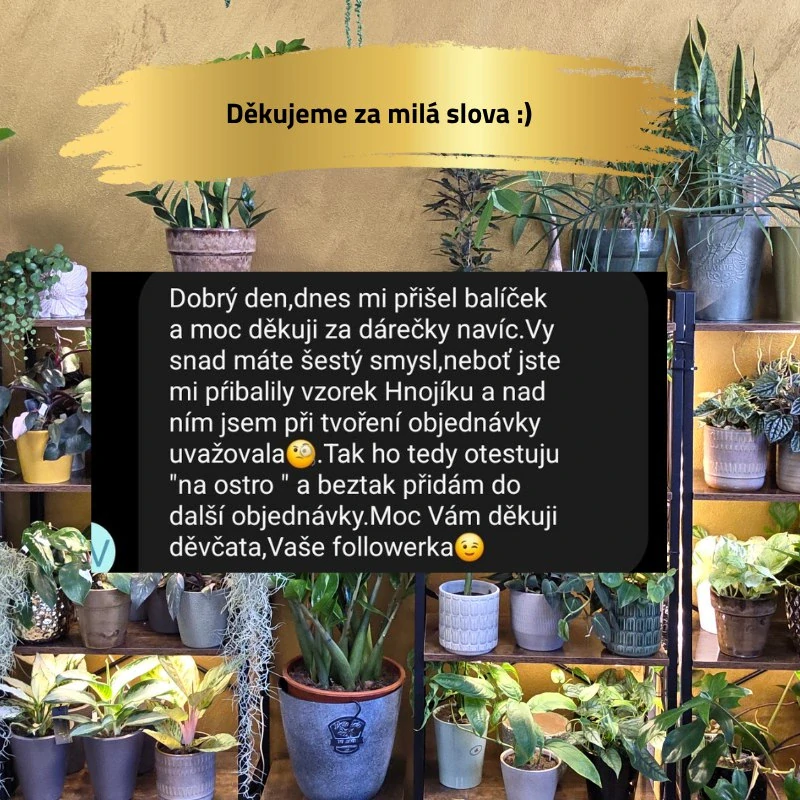 Zavlažovač mechové tyče černý