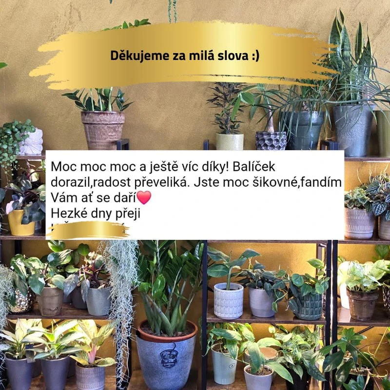 Zavlažovač mechové tyče průhledný