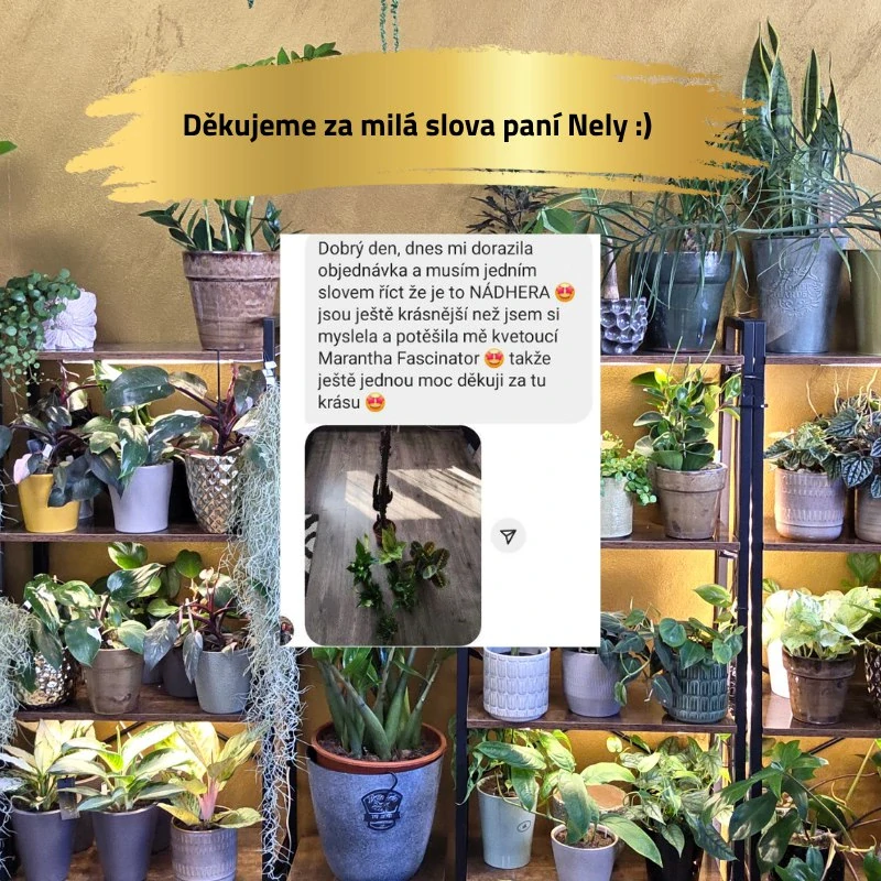 Mechová opora bílá bez výplně