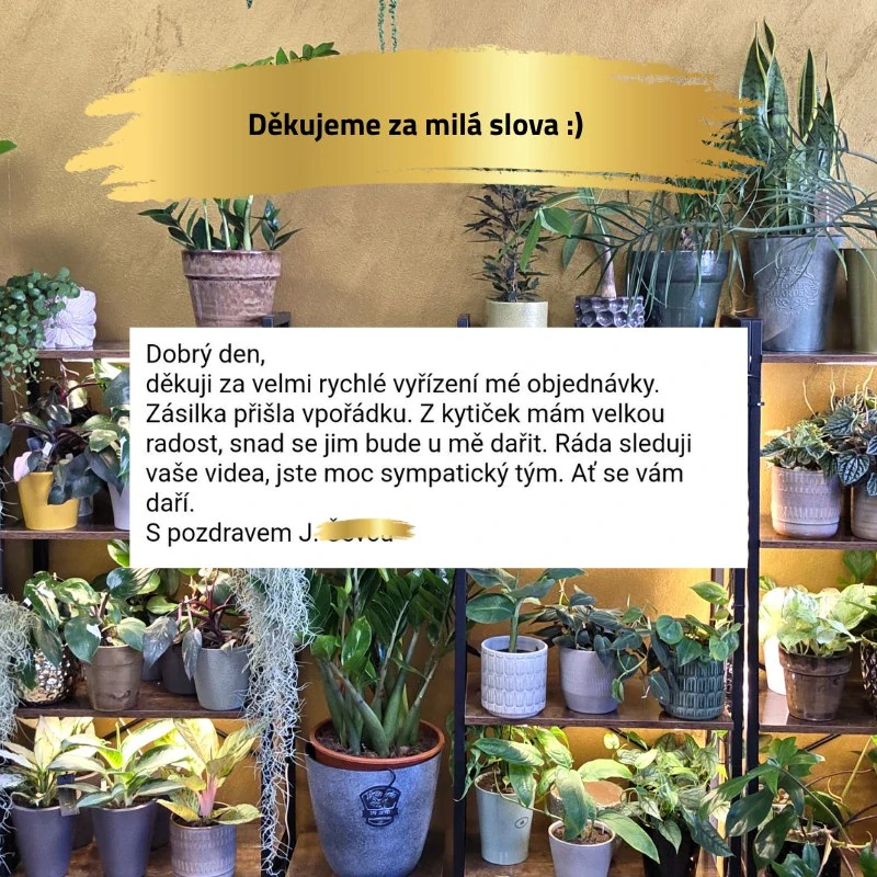 Mechová opora průhledná bez výplně