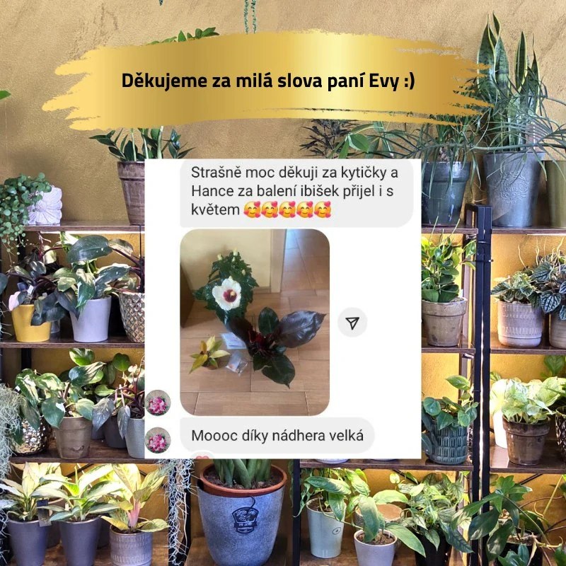 Mechová opora exclusive bílá s mechem a zip páskou
