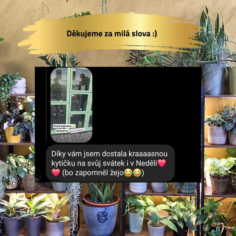 Mechová opora exclusive černá s mechem a zip páskou