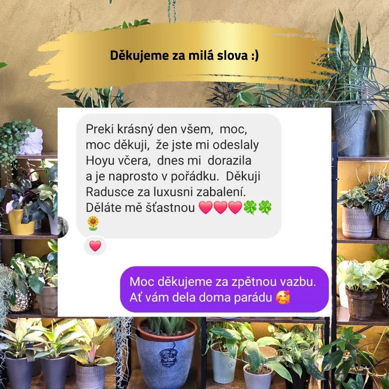Opora - kruh, srdce
