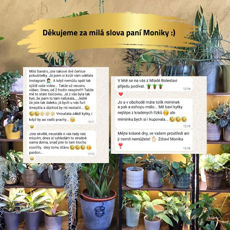 Úchytka na stěnu / List