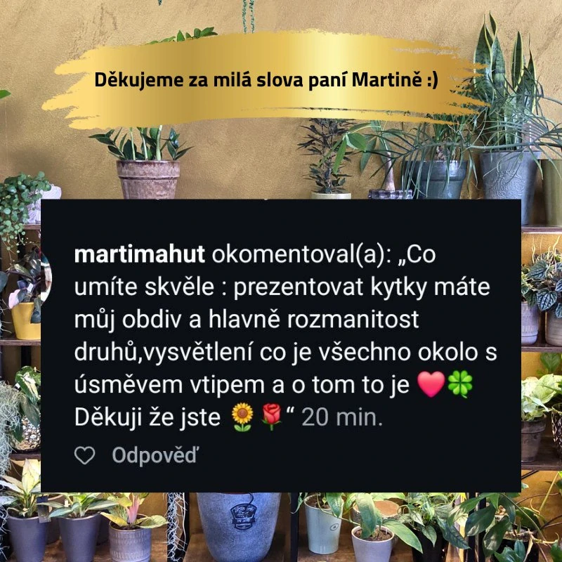 Žebřík úzký mix