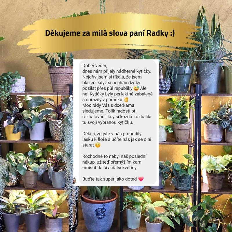 Cedulka na popis pokojovky