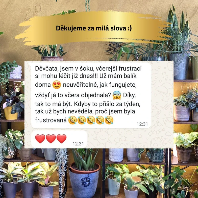 Bambusová tyč mix
