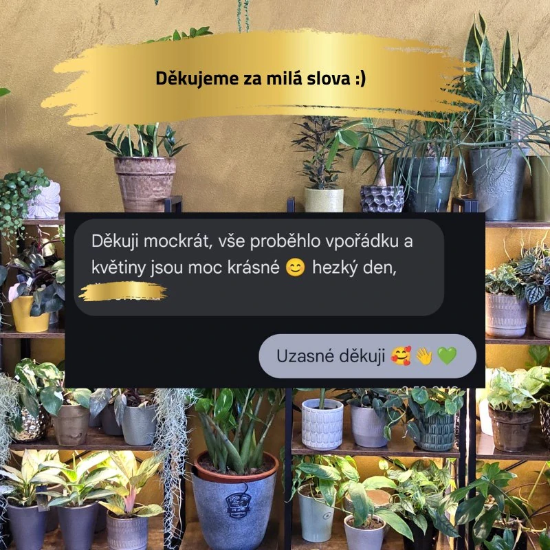 Bavlněný knot 1metr