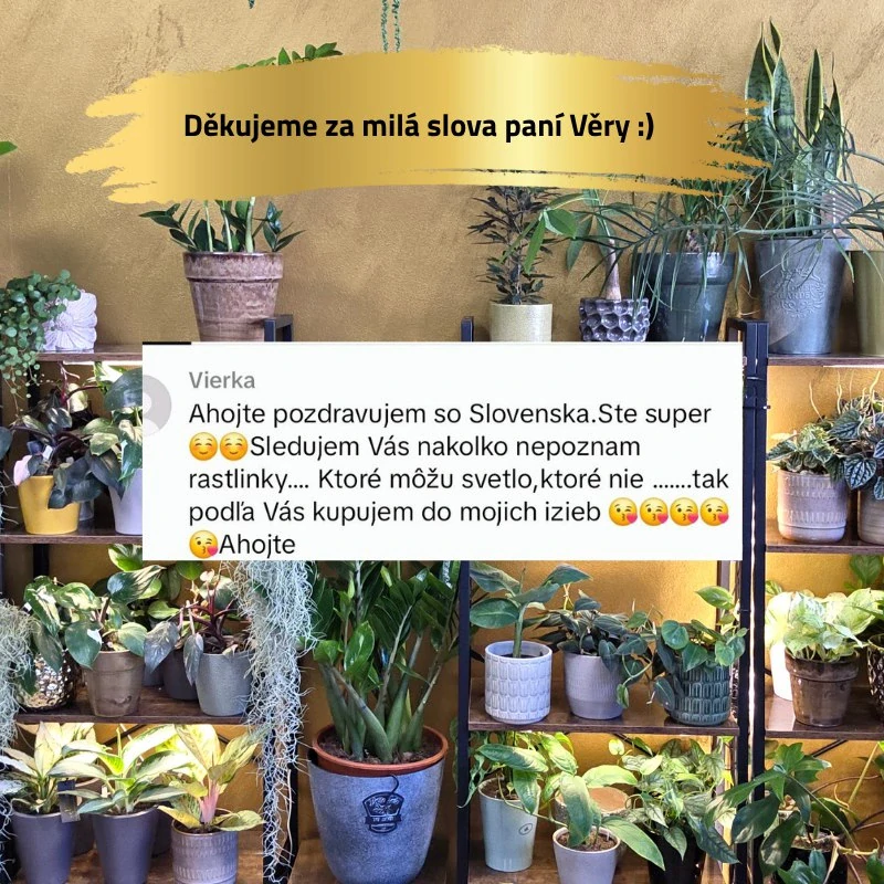 Podmiska plastová čirá