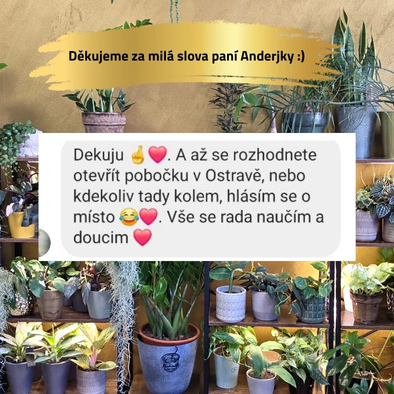 Klipsy na květiny k opoře