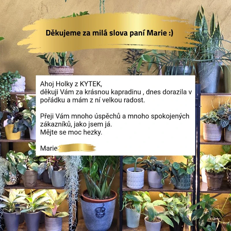 Háček s tyčkou na podpěru stonku