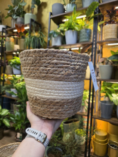 obal trávový na pr. 21 cm Johana