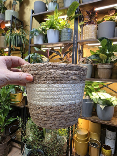 obal trávový na pr. 19 cm Miluna