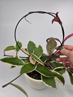 Kovová opora - kruh černý 18 cm