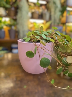 Keramický obal růžový na pr. 10cm