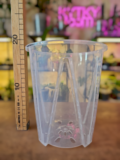 Hluboký průhledný květináč s bočními vzduchovými otvory 16 cm