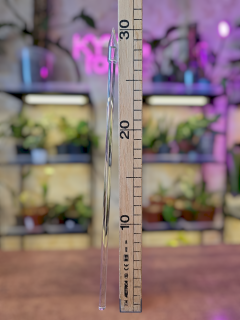 Opora rostlin - průhledná tyč 8mm/ 30cm