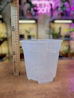 Květináč průhledný 17 cm