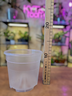 Květináč průhledný 13 cm