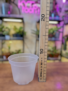 Květináč průhledný 10 cm