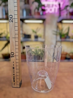 Obal průhledný s drenáží plast 11 cm
